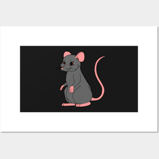 Grey Rat Posters and Art